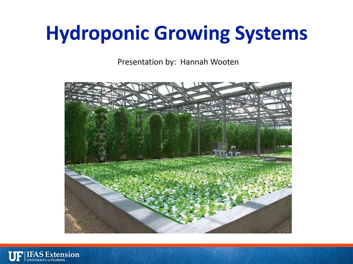 Hydroponic Growing Systems Powerpoint Cover
